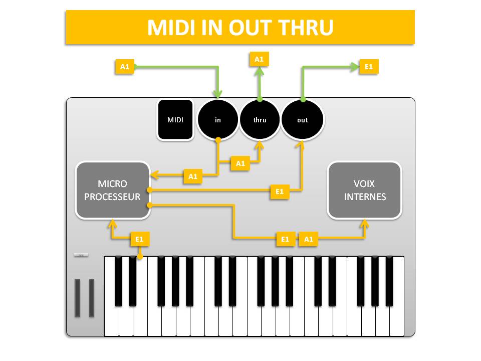 MIDI IN OUT THRU / schéma parcouru par le signal MIDI transitant par le connecteur MIDI IN OUT THRU.