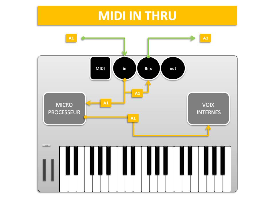 PRISE MIDI IN THRU / schéma parcouru par le signal MIDI transitant par le connecteur MIDI IN THRU.