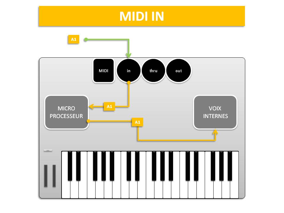 PRISE MIDI IN / schéma parcouru par le signal MIDI reçu par le connecteur MIDI IN