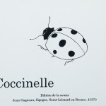Jean Gagneau, album pour enfant Coccinelle